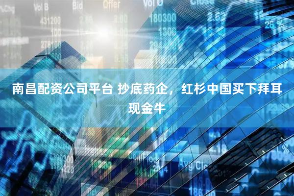 南昌配资公司平台 抄底药企，红杉中国买下拜耳现金牛