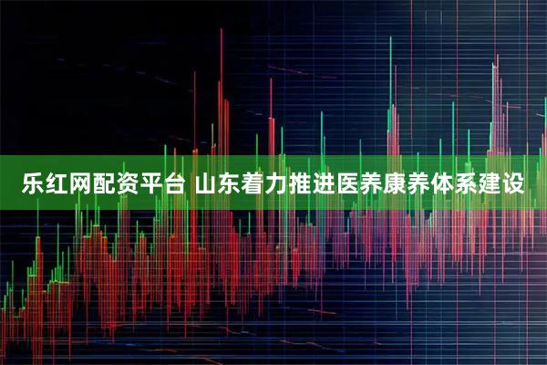 乐红网配资平台 山东着力推进医养康养体系建设