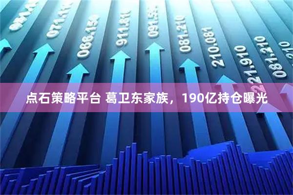 点石策略平台 葛卫东家族，190亿持仓曝光
