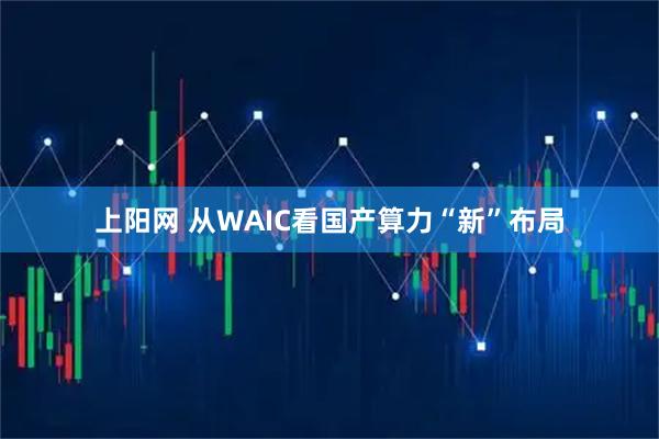 上阳网 从WAIC看国产算力“新”布局